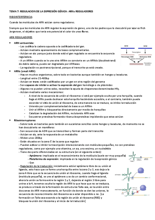 Miniatura del documento TEMA-7.-REGULACION-DE-LA-EXPRESION-GENICA.-ARNs-REGULADORES.pdf