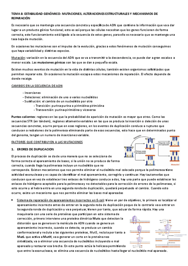 Miniatura del documento TEMA-8.-ESTABILIDAD-GENOMICO.-MUTACIONES-ALTERACIONES-ESTRUCTURALES-Y-MECANISMOS-DE-REPARACION.pdf