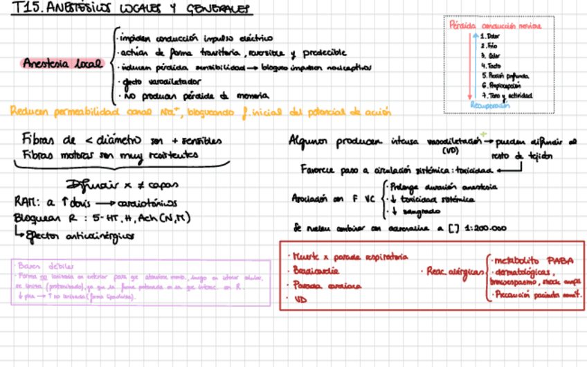 Miniatura del documento Farma-2P.pdf