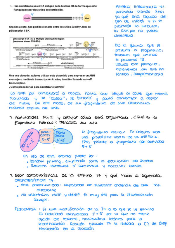 Miniatura del documento 2oP-examenes-anteriores.pdf