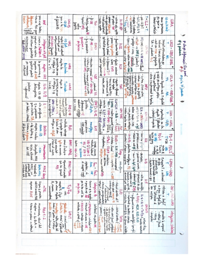 Miniatura del documento esquemita-de-cosas-chungas.pdf