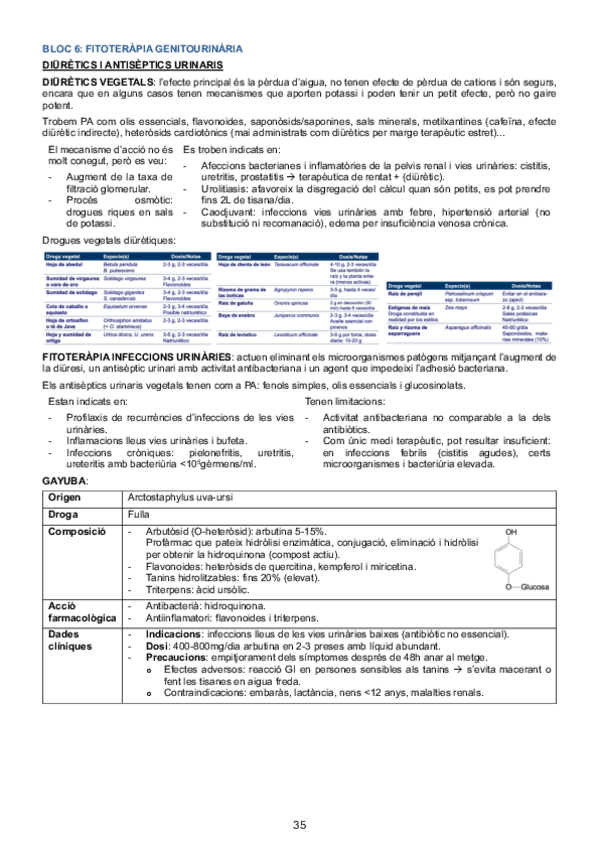 Miniatura del documento apunts-segon-parcial.pdf