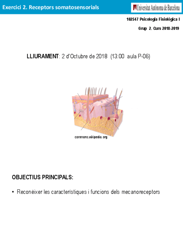 Miniatura del documento 4. Preguntes Mecanoreceptors (T2).pdf