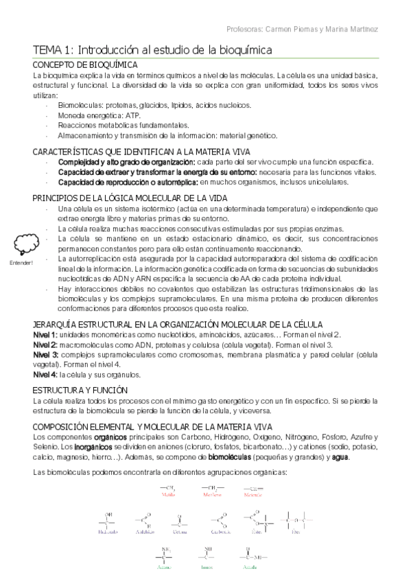 Miniatura del documento Temario-Completo-Bioquimica-Estructural.pdf