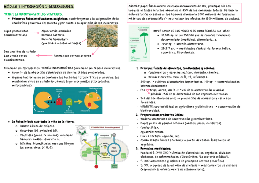 Miniatura del documento APUNTES-BOTANICA-MODULOS-1-9.pdf