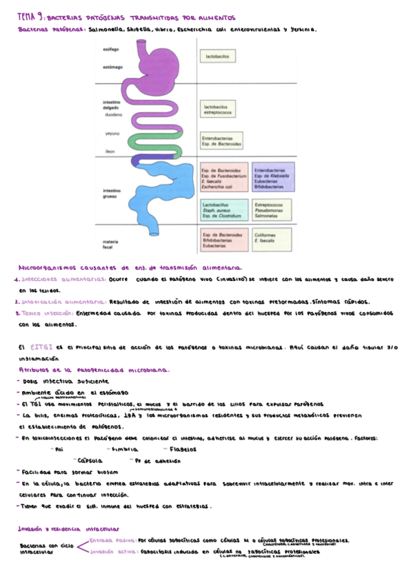 Miniatura del documento Estudiar-Microbiologia.pdf