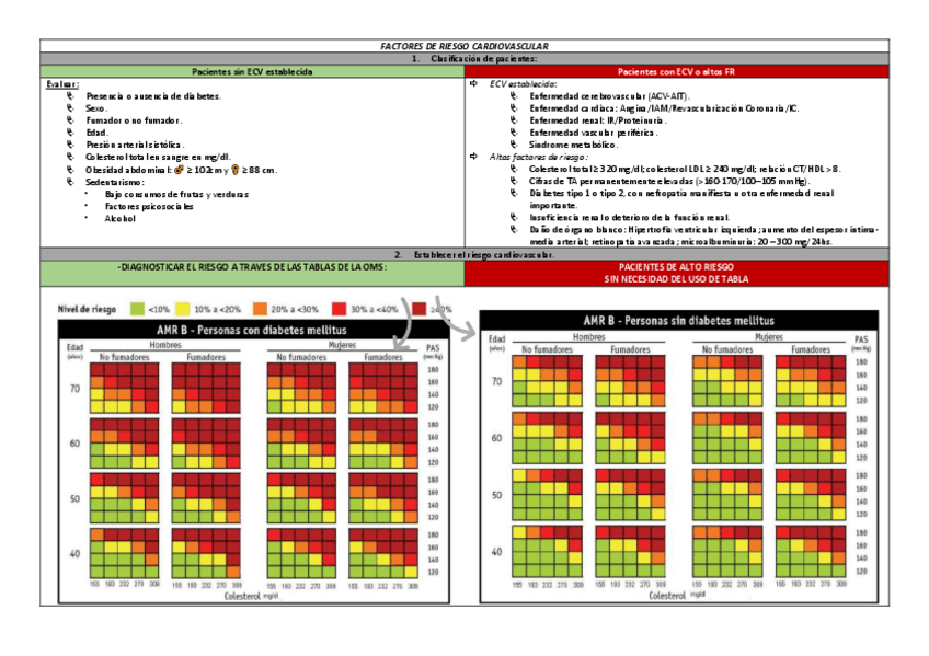 Miniatura del documento FR-CV.pdf