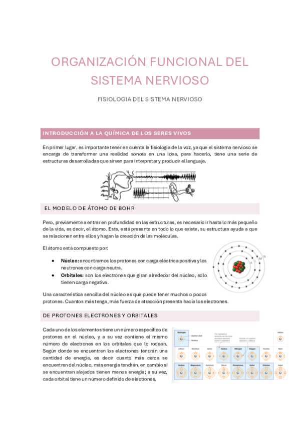 Miniatura del documento Fisiologia-del-sistema-nervioso.pdf
