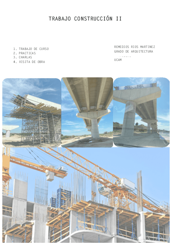 Miniatura del documento TRABAJO-CTRIOS-MARTINEZREMEDIOS.pdf