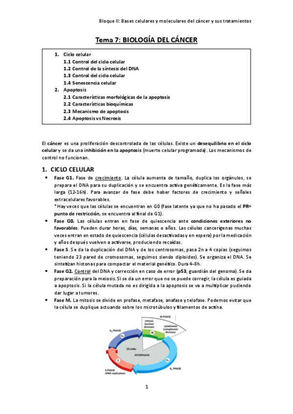 Miniatura del documento TEMA-7.-Biologia-del-cancer.pdf