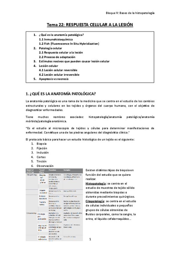 Miniatura del documento TEMA-22.-Respuesta-celular-a-la-lesion.pdf