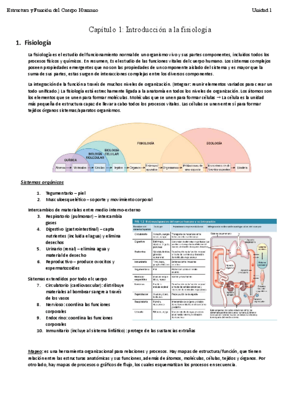 Miniatura del documento EstructuraUnidad1Tema2.pdf