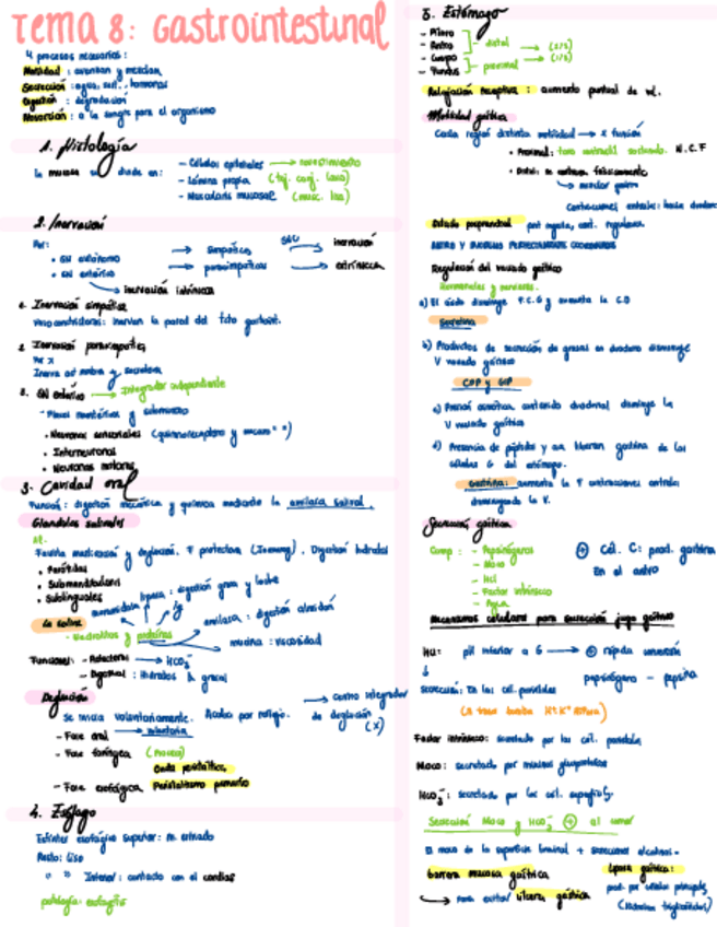 Miniatura del documento Esquema-T8-Gastrointestinal.pdf