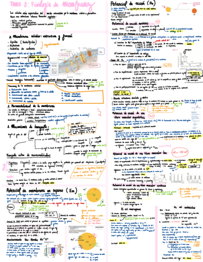 Miniatura del documento Esquema-T3-Membranas.pdf