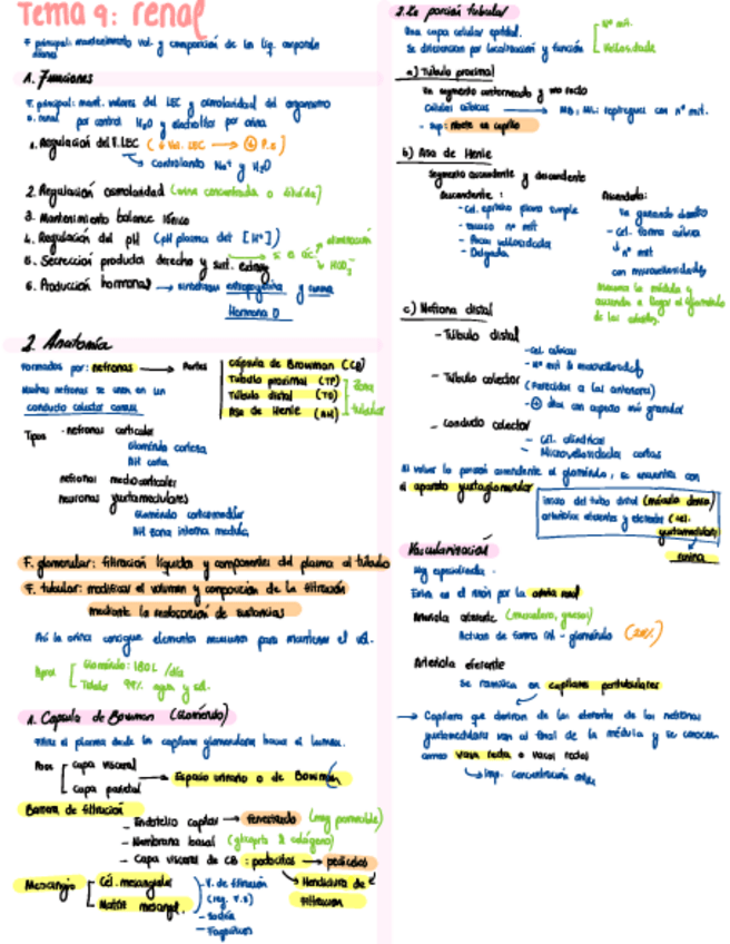 Miniatura del documento Esquema-T9-Renal.pdf