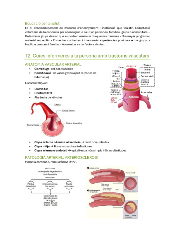 Miniatura del documento Clinica2n-semestre.pdf