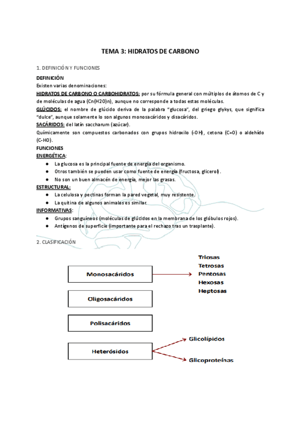 Miniatura del documento TEMA-3-HIDRATOS-DE-CARBONO.pdf