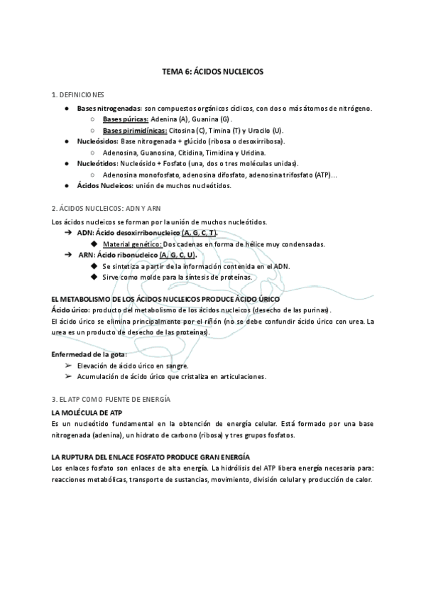 Miniatura del documento TEMA-6-ACIDOS-NUCLEICOS.pdf