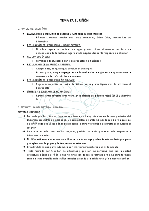 Miniatura del documento TEMA-17-EL-RINON.pdf