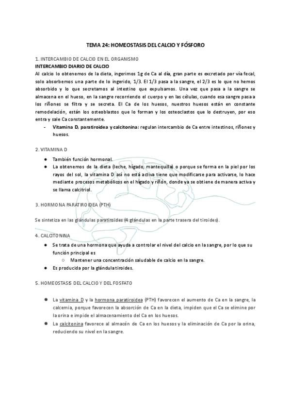 Miniatura del documento TEMA-24-HOMEOSTASIS-DEL-CALCIO-Y-FOSFORO.pdf
