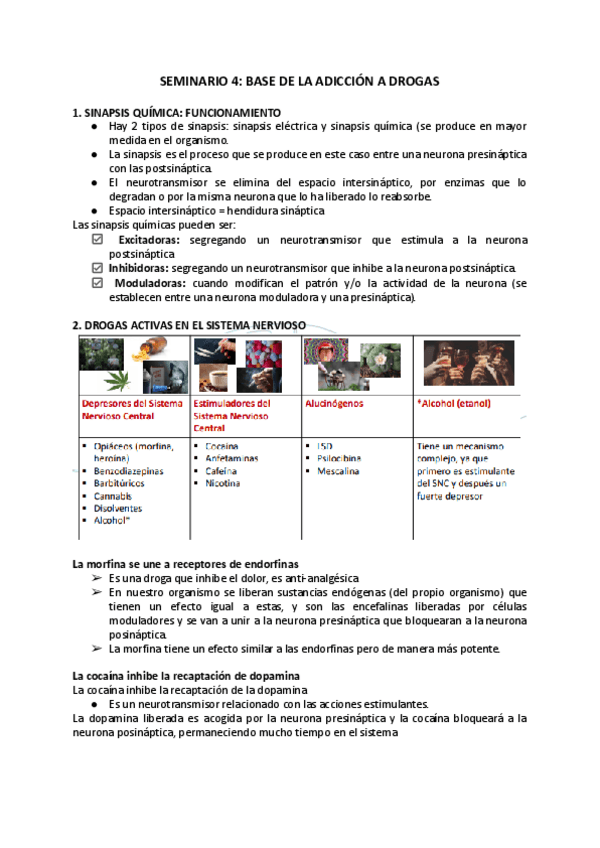 Miniatura del documento SEMINARIO-4-BASE-DE-LA-ADICCION-A-DROGAS.pdf