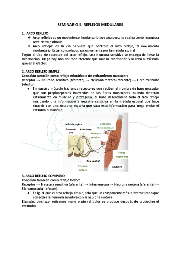 Miniatura del documento SEMINARIO-5-REFLEJOS-MEDULARES.pdf