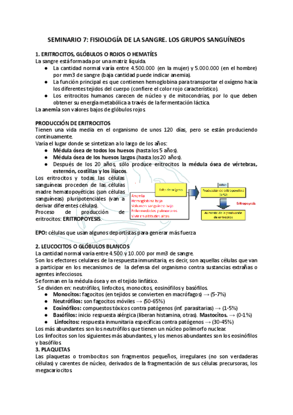 Miniatura del documento SEMINARIO-7-FISIOLOGIA-DE-LA-SANGRE.pdf