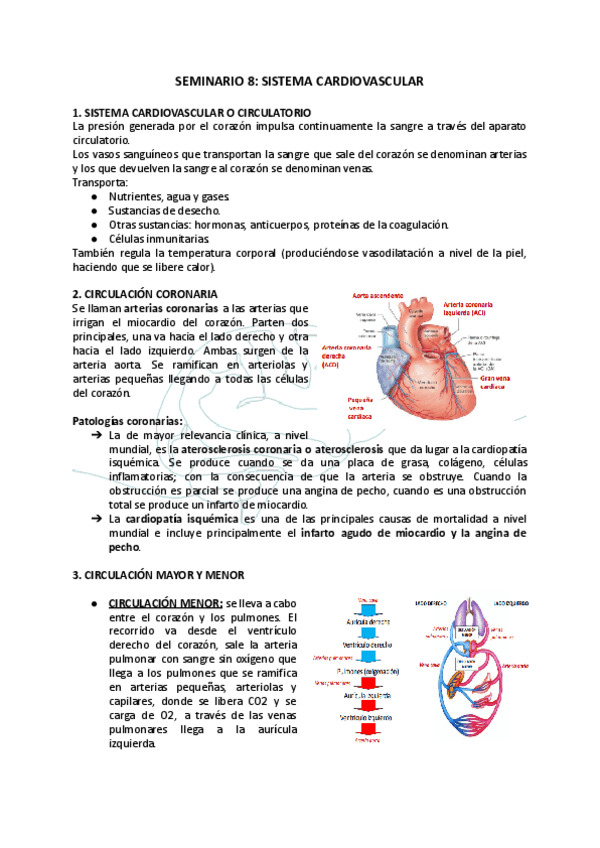 Miniatura del documento SEMINARIO-8-SISTEMA-CARDIOVASCULAR.pdf