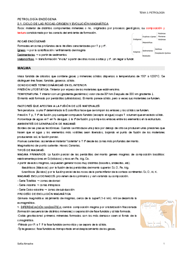 Miniatura del documento t3.-petrologia.pdf