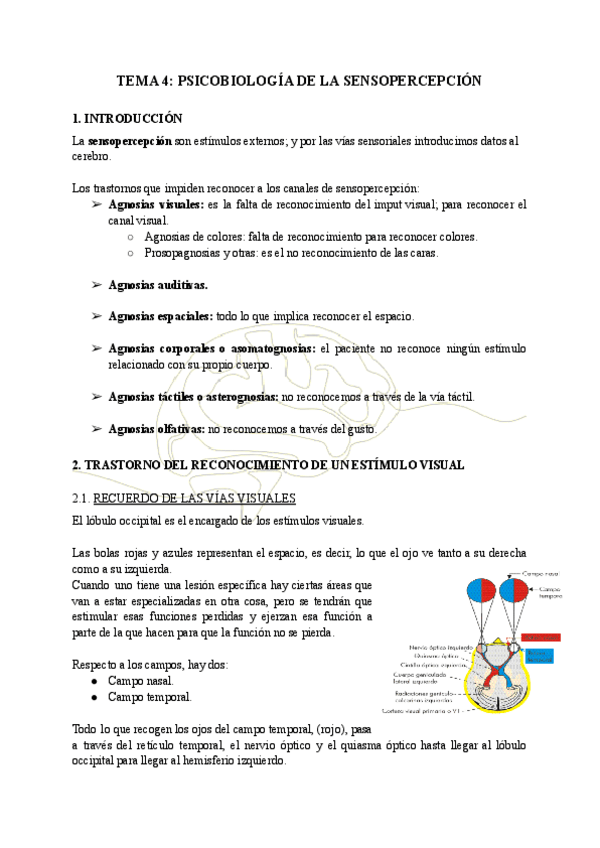 Miniatura del documento TEMA-4-PSICOBIOLOGIA-DE-LA-SENSOPERCEPCION.pdf