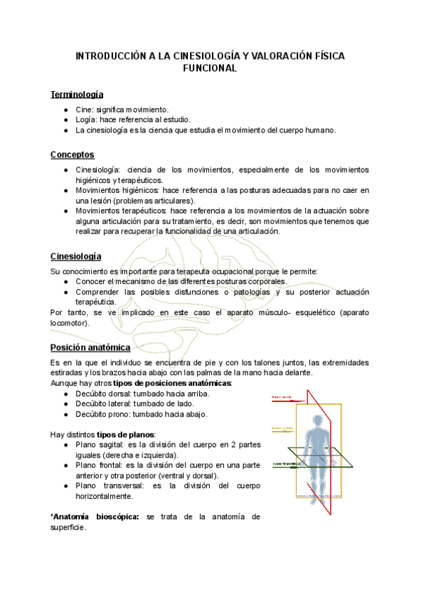 Miniatura del documento CINESIOLOGIA-Y-VALORACION-FISICA-FUNCIONAL.pdf