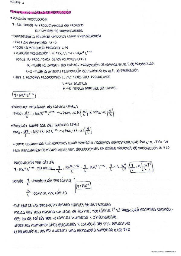 Miniatura del documento TEMA-6.pdf