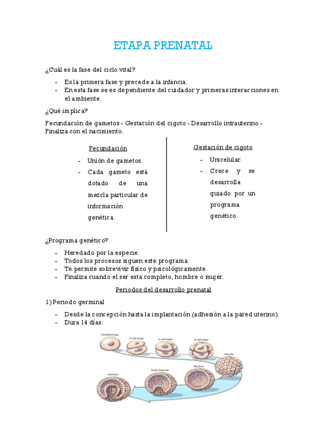 Miniatura del documento ETAPA-PRENATAL.pdf