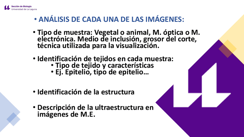 Miniatura del documento IMAGENES-DE-TISULAR.pdf