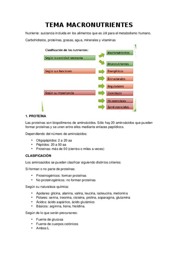 Miniatura del documento AB-TEMA-2-MACRONUTRIENTES.-GRUPOS-DE-ALIMENTOS.docx