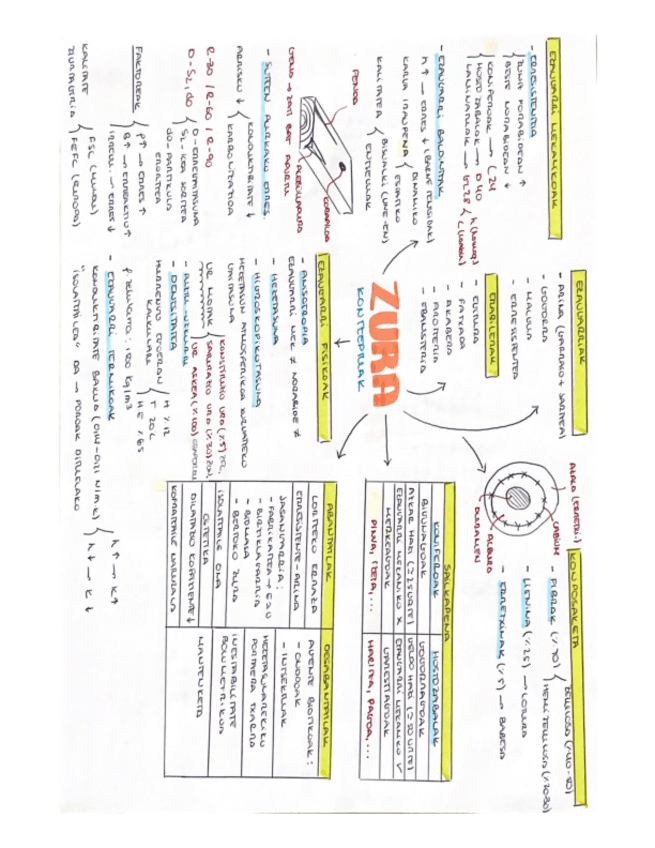 Miniatura del documento Eraikuntza-IIIZura-eta-Altzairua.pdf