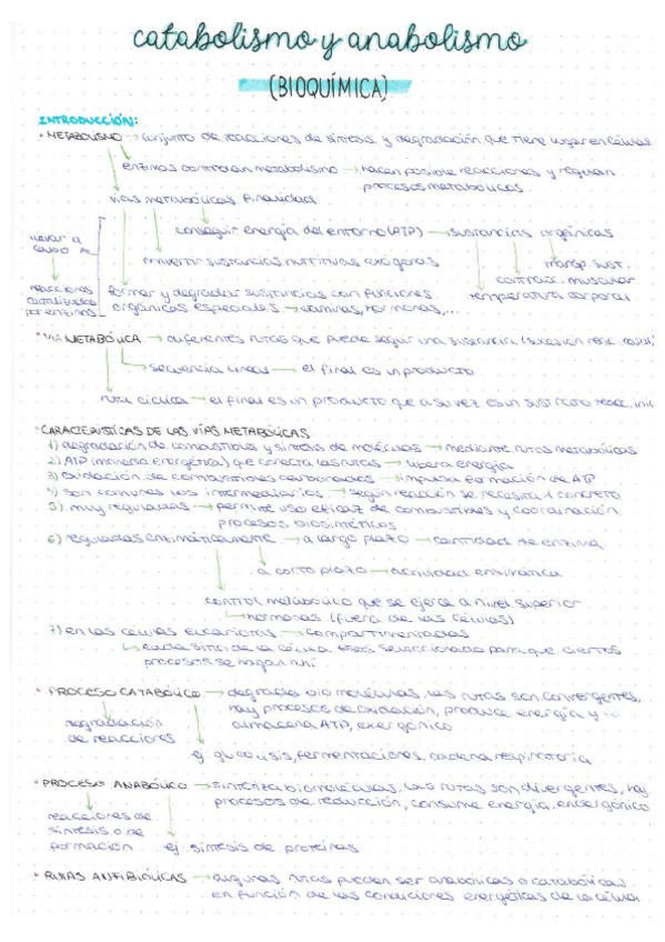 Miniatura del documento RESUMEN-T4.pdf