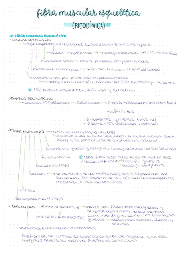 Miniatura del documento RESUMEN-T5.pdf