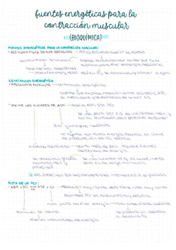 Miniatura del documento RESUMEN-T6.pdf