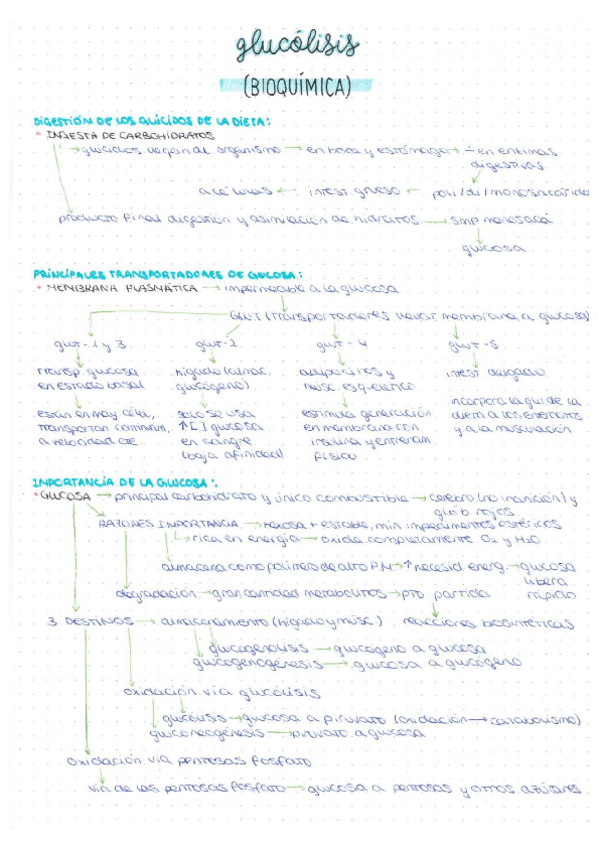 Miniatura del documento RESUMEN-T7.pdf