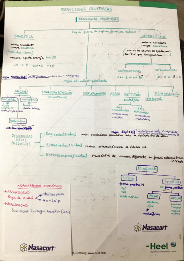 Miniatura del documento Apuntes-quimica.pdf