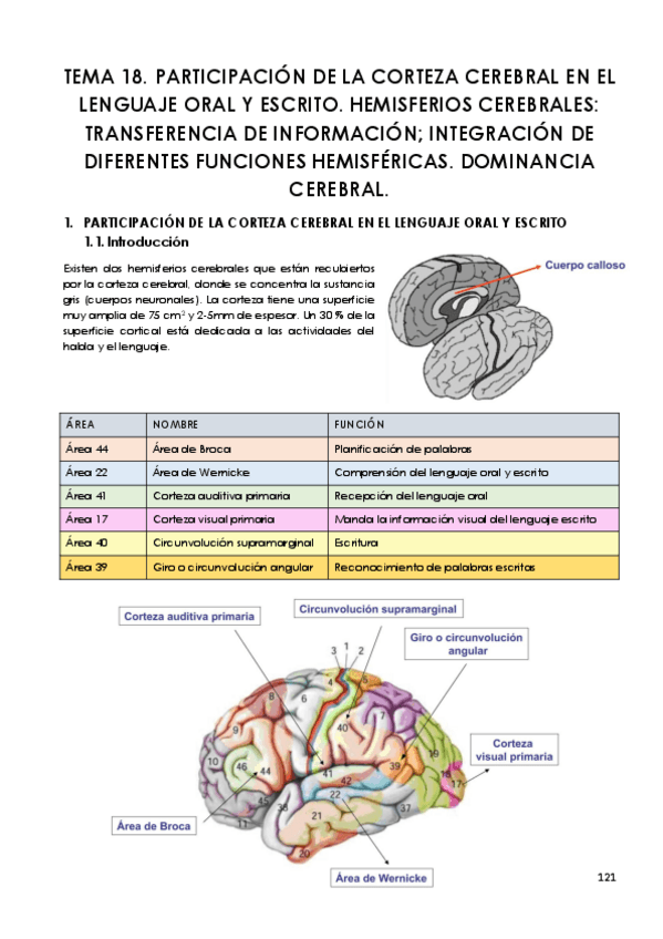 Miniatura del documento TEMA-18.pdf