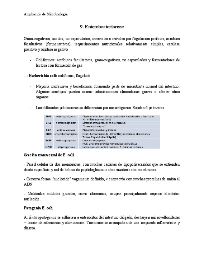 Miniatura del documento Tema-9-Ampliacion-Micro.pdf
