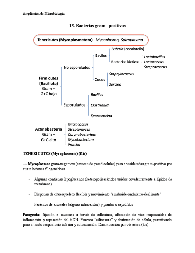 Miniatura del documento Tema-13-Ampliacion-Micro.pdf
