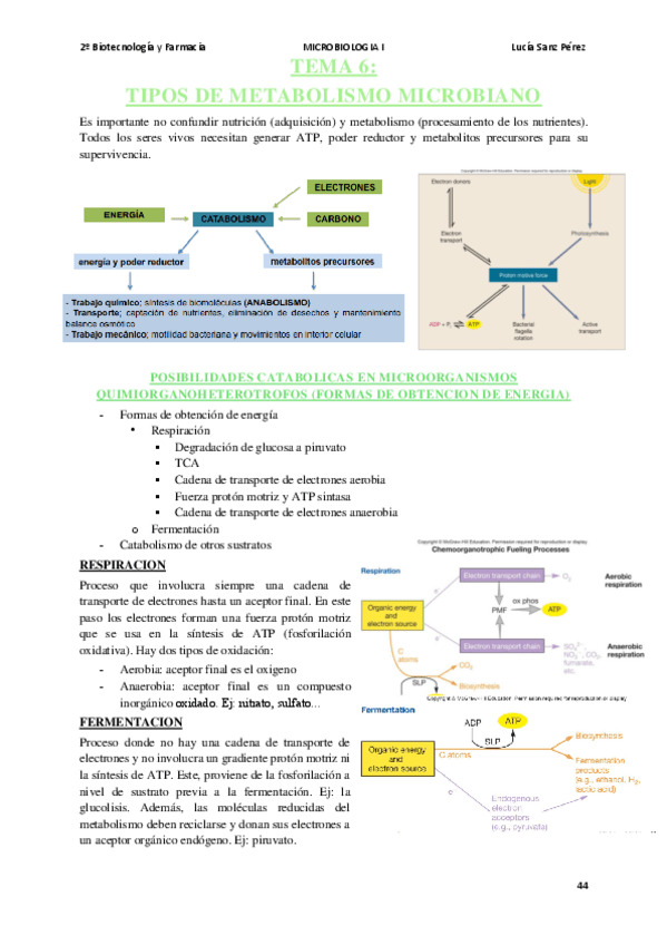 Miniatura del documento MICROBIOLOGIA-I-TEMA-6.pdf