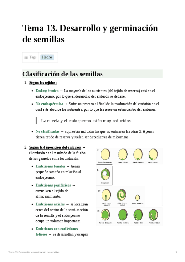 Miniatura del documento Tema 13. Desarrollo y germinación de semillas.pdf