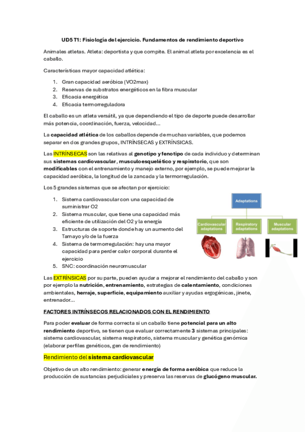 Miniatura del documento deport.pdf