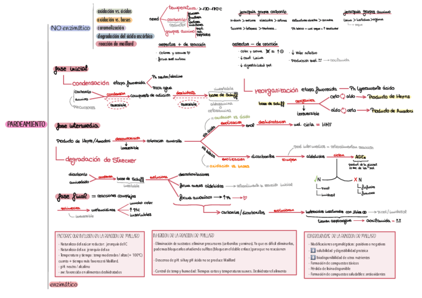 Miniatura del documento esquema-resumen-reaccion-de-maillard.pdf
