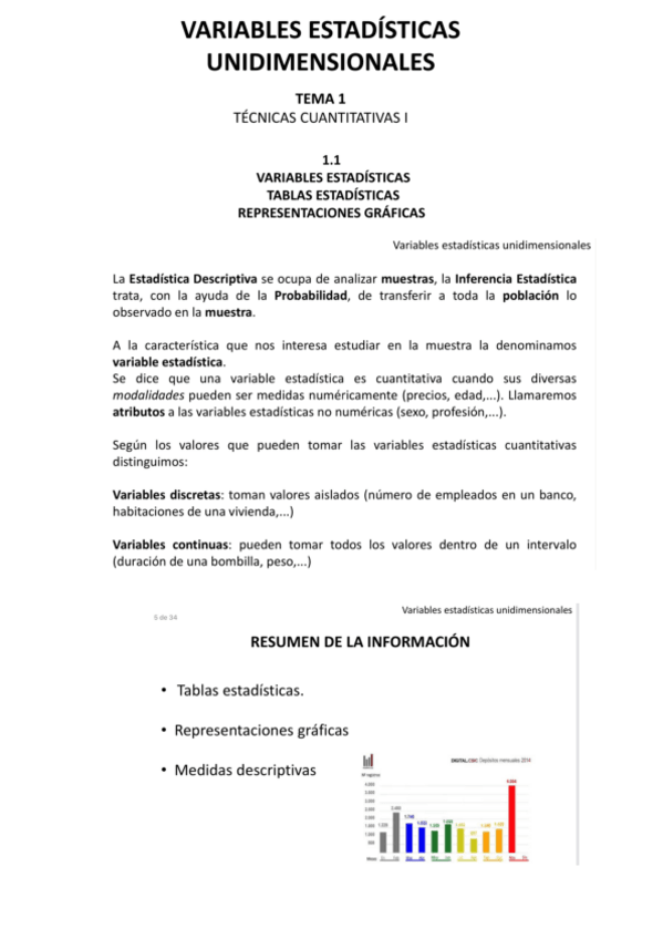 Miniatura del documento TEMA-1.pdf