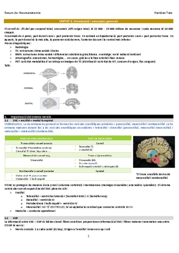 Miniatura del documento Neuroanatomia_Haridian.pdf